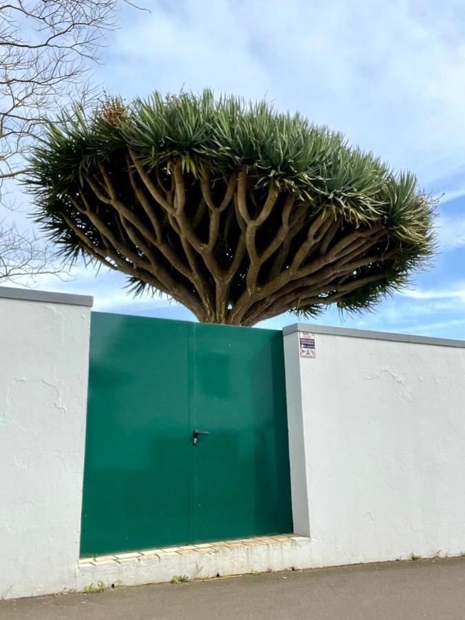 Villa Casa As Sete Angra do Heroísmo Exterior foto